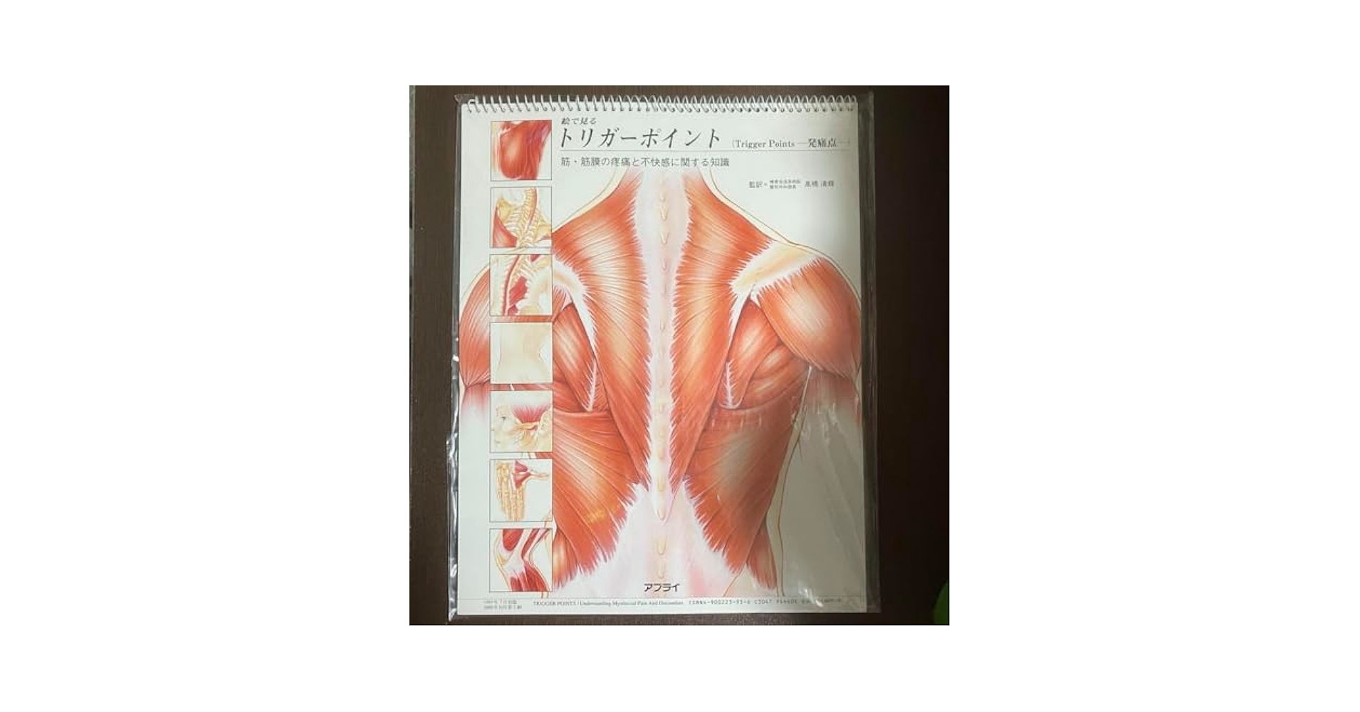 未開封品　スタンド式　絵で見るトリガーポイント 筋膜の疼痛と不快感に関する知識 Amazon.co.jp: スタンド式 絵で見るトリガーポイント 筋膜の疼痛